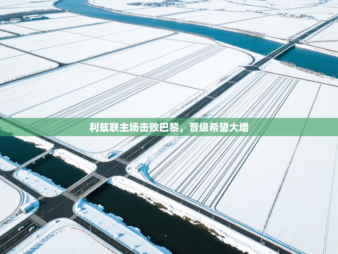 利兹联主场击败巴黎,晋级希望大增 第2张