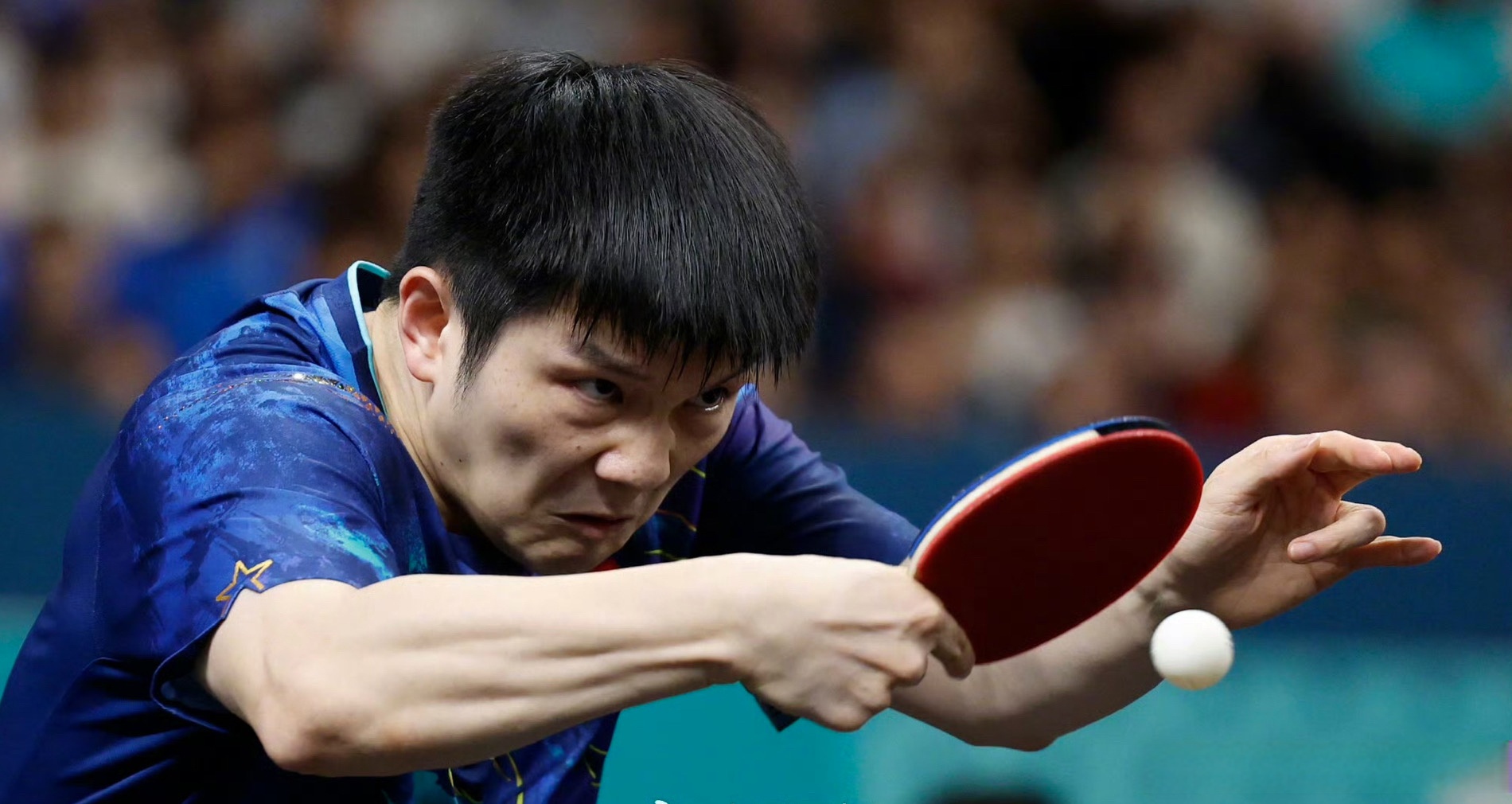 拼搏不止!精彩比赛,世界瞩目的简单介绍 拼搏不止!精彩比赛,世界瞩目的简单介绍